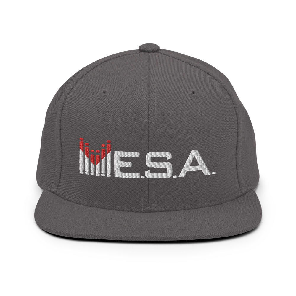 MESA-Snapback Hat