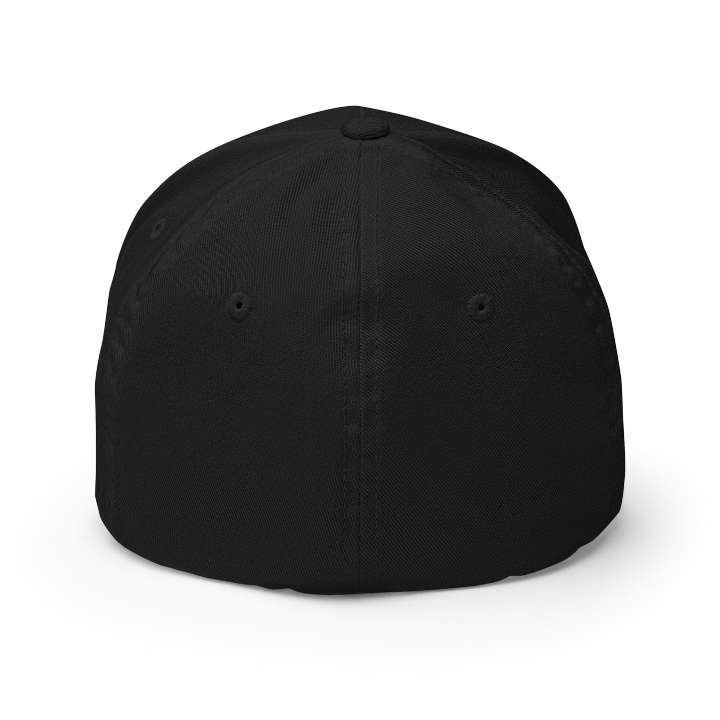 Audio Garage-Structured Twill Cap