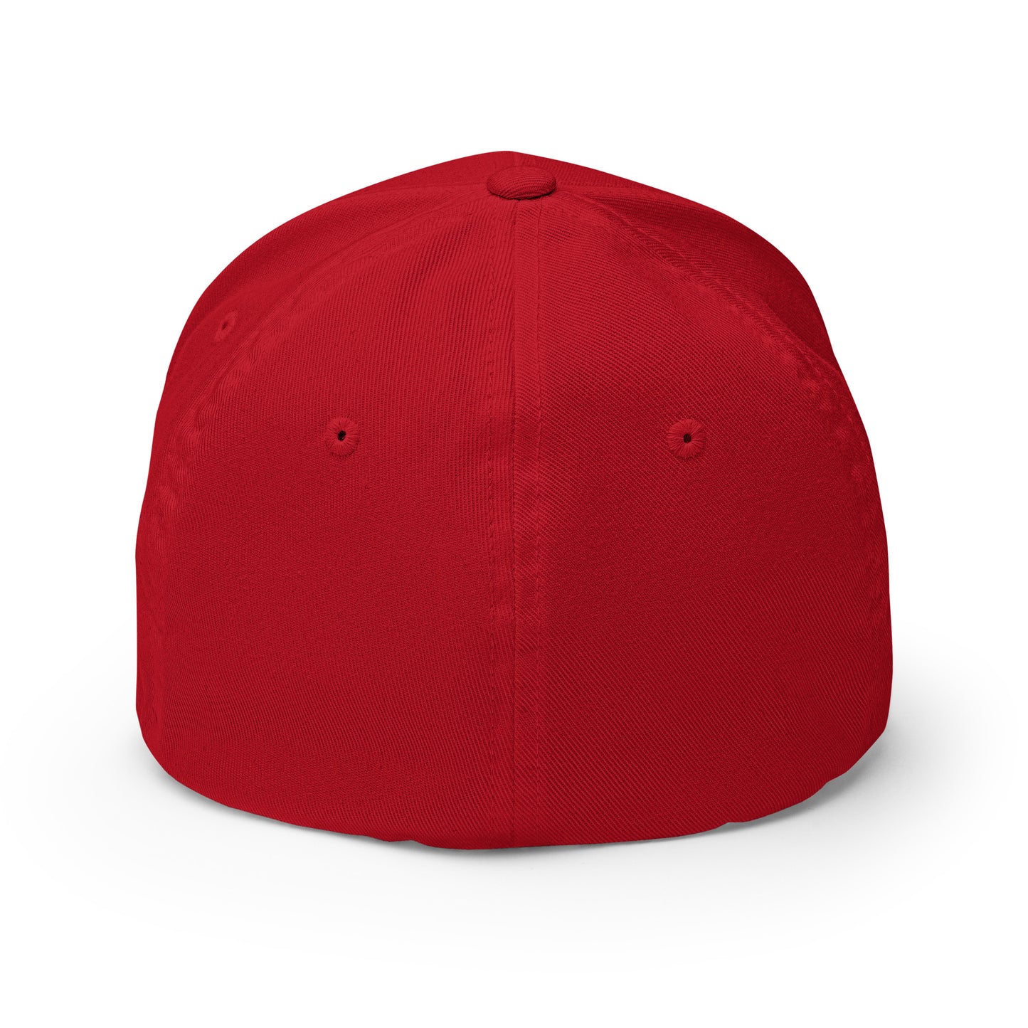 Audio Garage-Structured Twill Cap