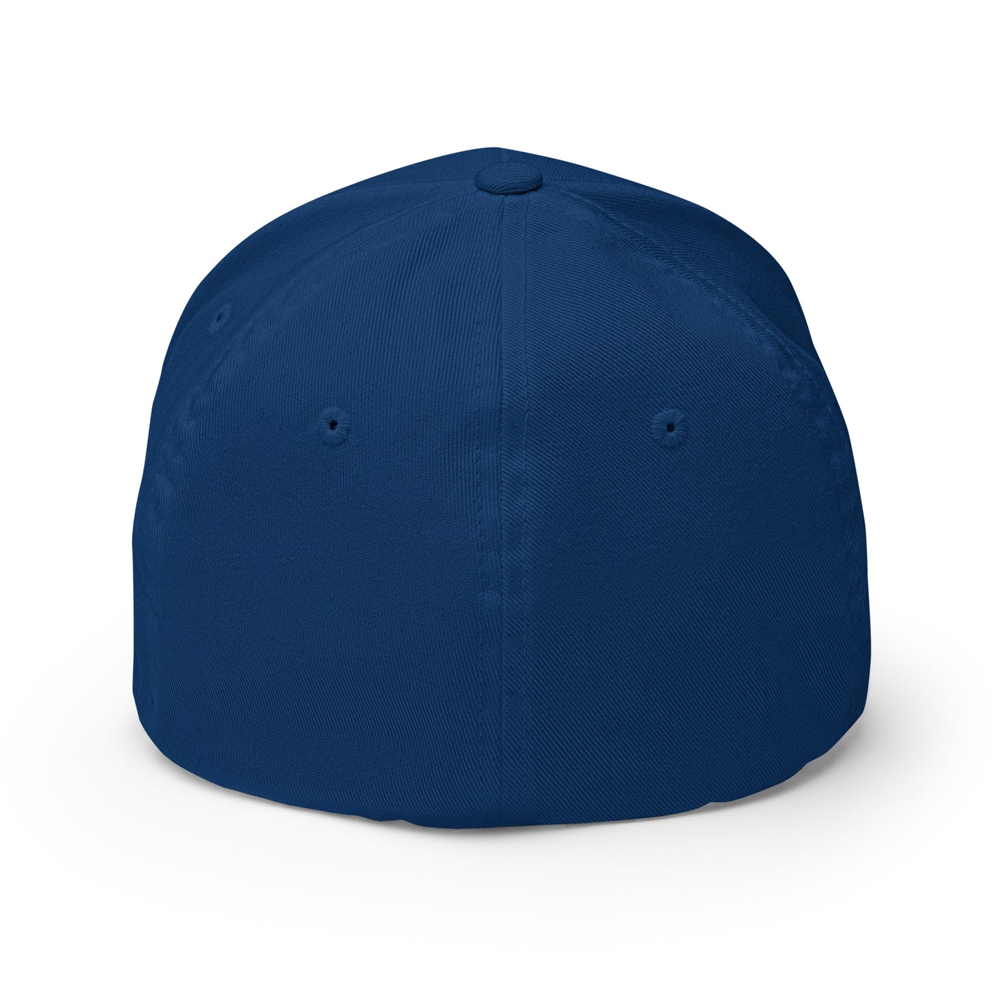 Audio Garage-Structured Twill Cap