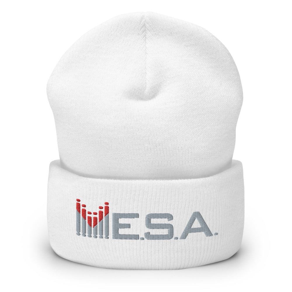 MESA-Cuffed Beanie