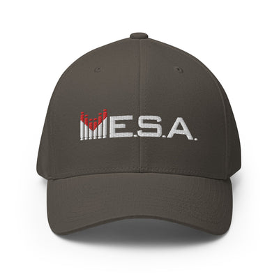 MESA-Structured Twill Cap